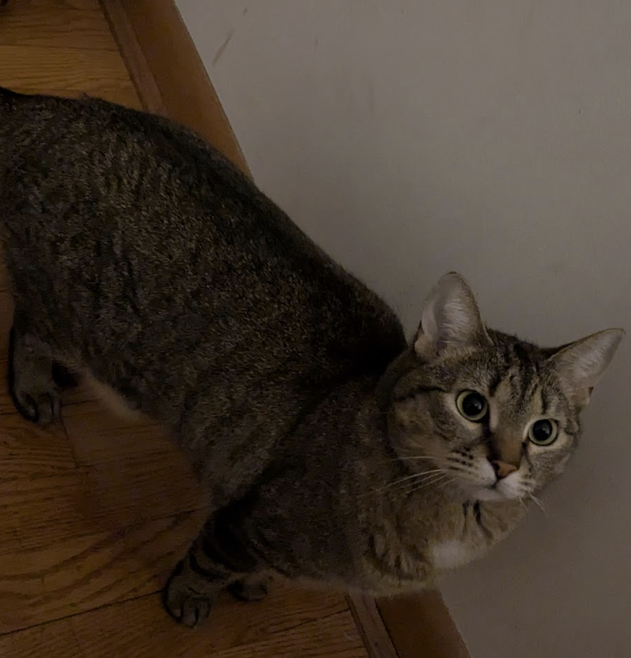 A real pic of me irl